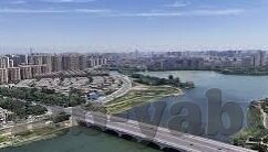 国际足球最高比分-足球史上的疯狂数字，揭秘国际足坛最高比分背后的传奇故事