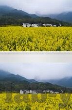 竞彩足球全场比分-竞彩足球全场比分，激情与智慧的双重博弈